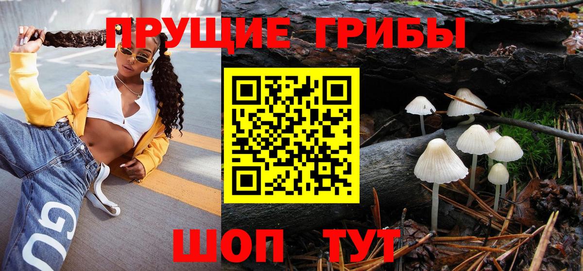 Галлюциногенные грибы мицелий Ессентуки
