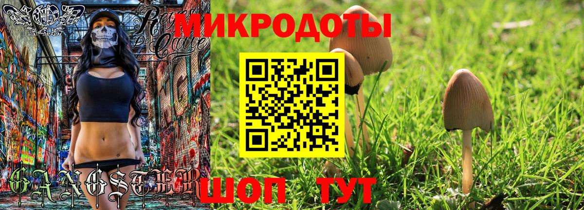 Ессентуки  Галлюциногенные грибы MAGIC MUSHROOMS  Вход с VPN 